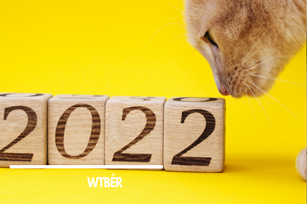 2022-t érintő adóváltozások macskával a wtbér blogban